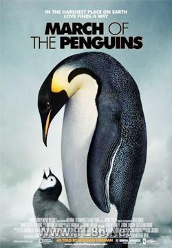 帝企鹅日记/企鹅宝贝：南极的旅程/企鹅进行曲