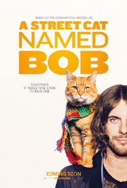 流浪猫鲍勃/街角遇见猫/遇见街猫BOB/一只名叫鲍勃的流浪猫/当Bob来敲门/街猫鲍勃
