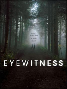 目击证人第一季/目击者第一季