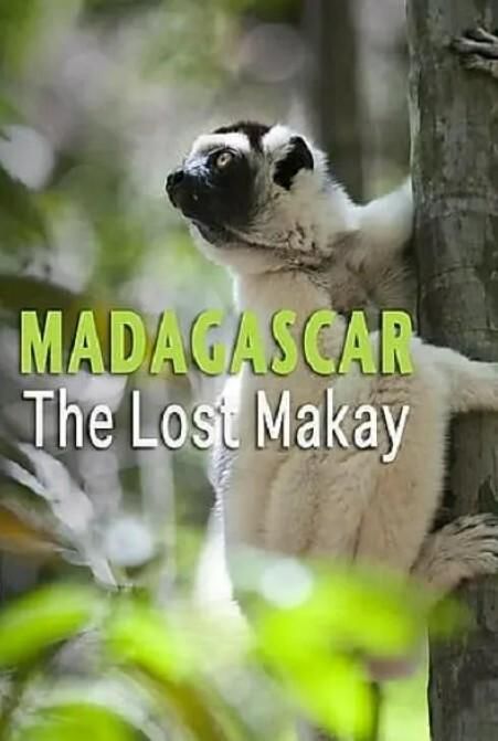 马达加斯加：世界冒险家
