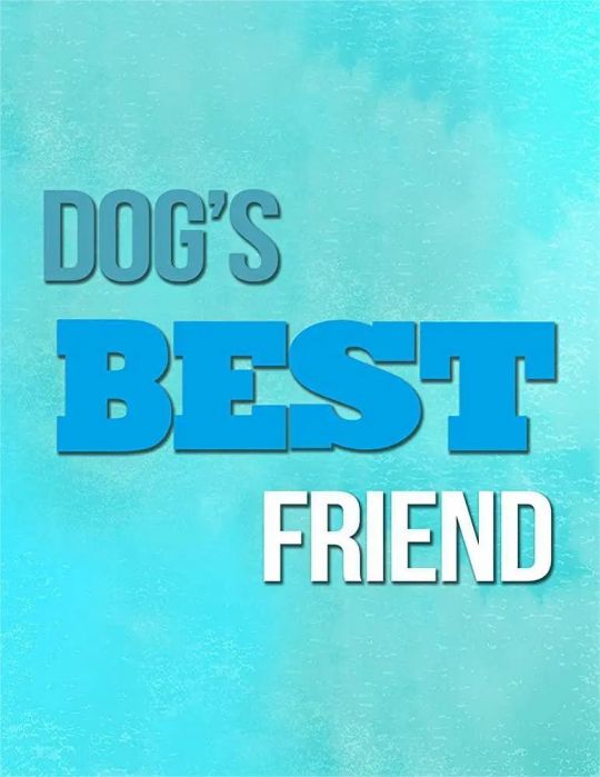 狗狗最好的朋友第一季