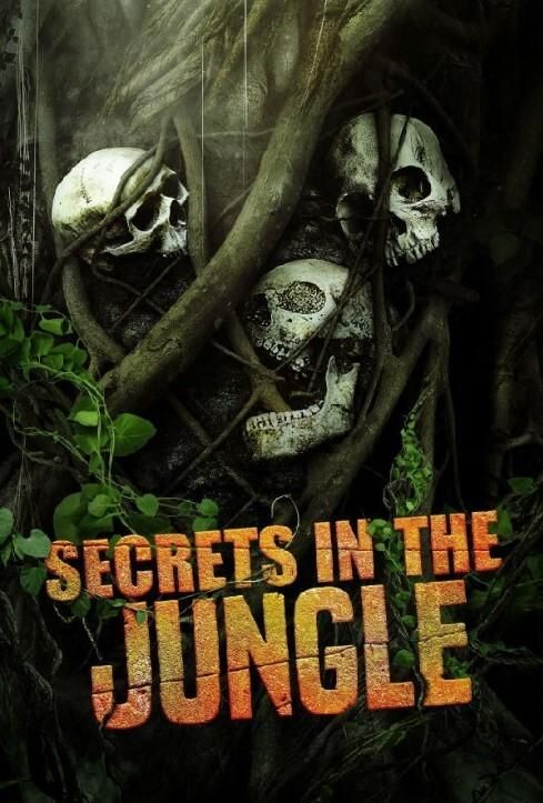 丛林中的秘密第一季