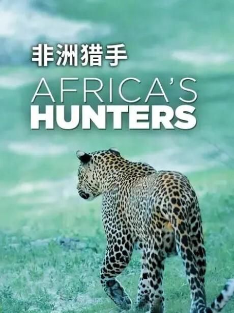 非洲猎手们第一季
