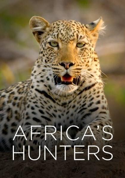 非洲猎手们第二季
